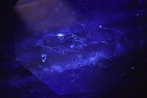 Circles in Sapphire