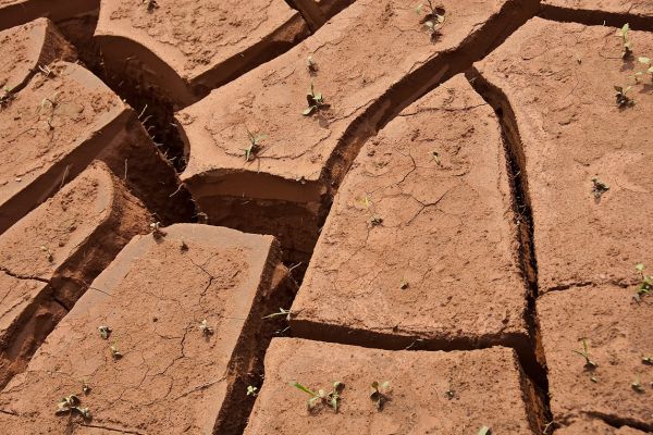 Cracked earth