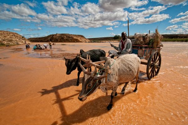 madagascar-20100813-087631C161CA-FFFB-33A0-563E-E23870A345F4.jpg