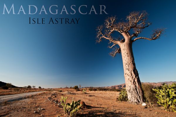 madagascar-20100816-1791-1EDC5B3A4-5A0D-2C0C-ADE5-86A055CFB28E.jpg