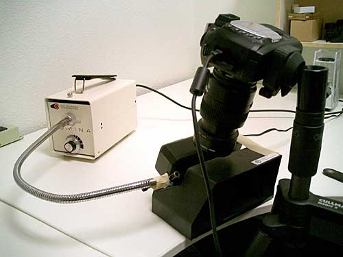 Camera setup