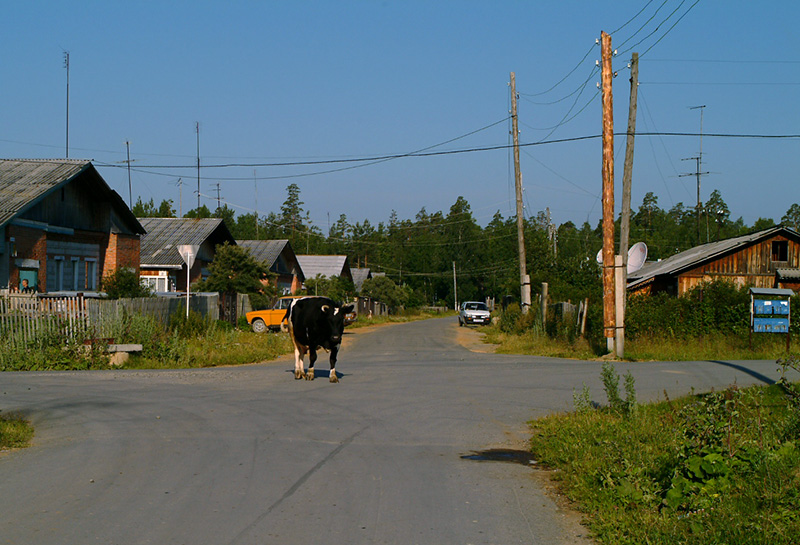 Top: The small village of Malysheva, perches on the very edge of the large open trench (just beyond the trees in the background). 