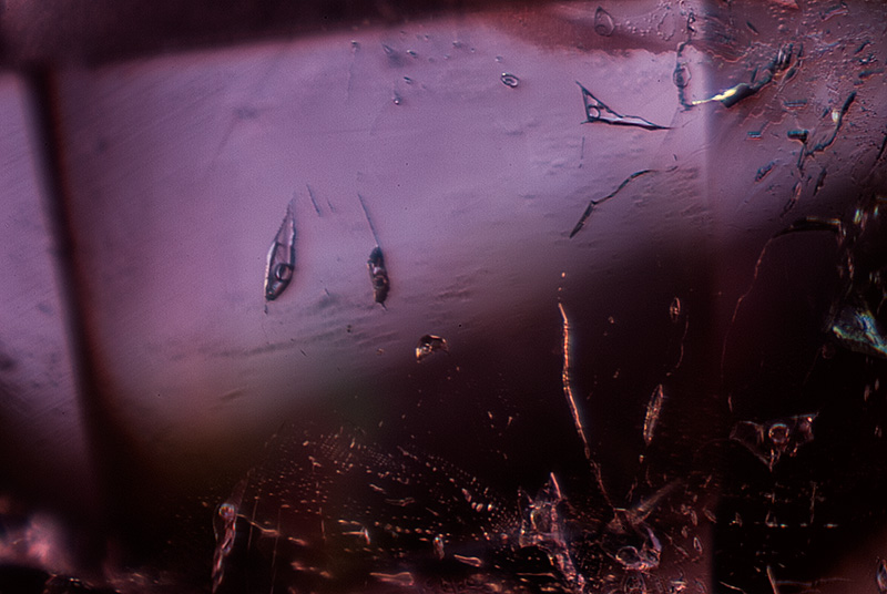 Two-phase negative crystals in an alexandrite from Malysheva, Russia. Specimen courtesy of Tsar Emeralds Corp.; photomicrograph © John I. Koivula/microWorld of Gems