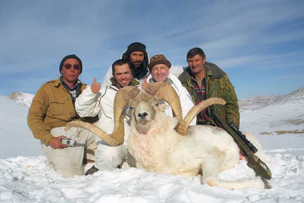 Marco Polo sheep